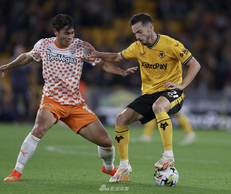 胜利将是教 胜利将是教